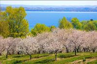 Traverse City Environs Traverse City Environs